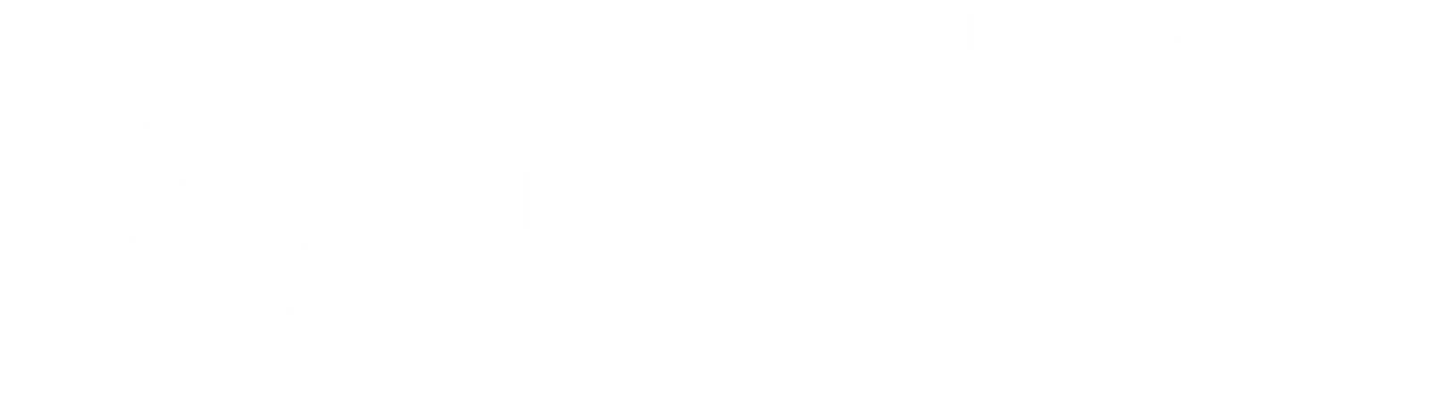 Movimiento Andino